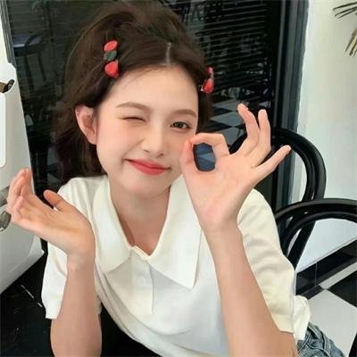 反黑路人甲国语